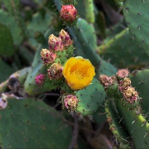 Meet your Posher, Shaunna